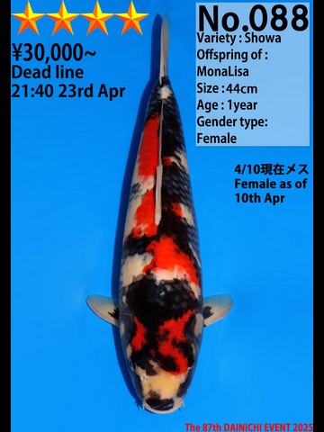 088_44cm_MonaLisa_s4_FE_(Kopie).JPG