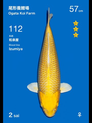 112_ogata_042_(Kopie).jpg