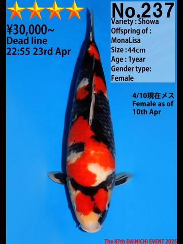 237_44cm_MonaLisa_s4_FE_(Kopie).JPG