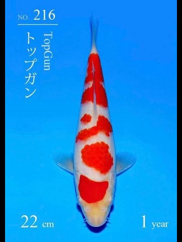 476331150_528259206376580_4384503083562616911_n_(Kopie).jpg